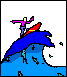 surf-image-animee-0024