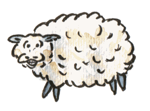 mouton-image-animee-0053