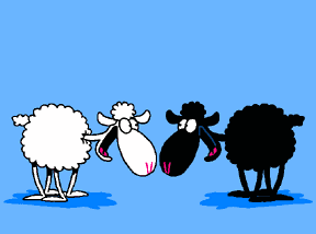 mouton-image-animee-0102