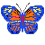 papillon-image-animee-0019
