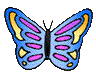 papillon-image-animee-0171