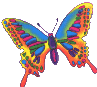 papillon-image-animee-0198