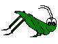 insecte-image-animee-0009
