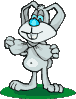 lapin-image-animee-0065