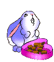 lapin-image-animee-0136