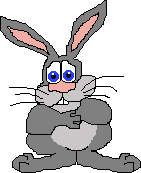lapin-image-animee-0147