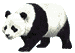 panda-image-animee-0028