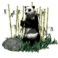 panda-image-animee-0036