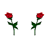 rose-image-animee-0044