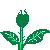rose-image-animee-0094