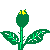 rose-image-animee-0096