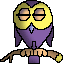 hibou-image-animee-0039
