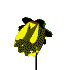 fleur-image-animee-0092