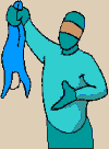 sante-image-animee-0078
