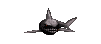 requin-image-animee-0086
