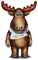 page-d-accueil-image-animee-0055