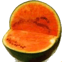 melon-image-animee-0029