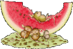 melon-image-animee-0040