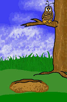 marmotte-image-animee-0083