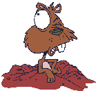 marmotte-image-animee-0100