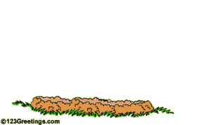 marmotte-image-animee-0115