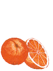 orange-image-animee-0057