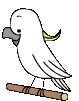 perroquet-image-animee-0063
