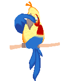 perroquet-image-animee-0101