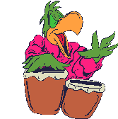 perroquet-image-animee-0103