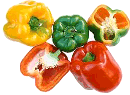 poivron-image-animee-0040