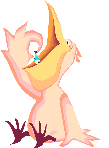 pelican-image-animee-0017