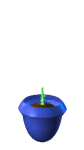 plante-image-animee-0054
