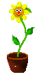plante-image-animee-0097