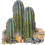 plante-image-animee-0098