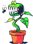 plante-image-animee-0102