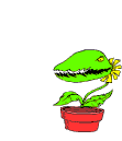 plante-image-animee-0103