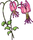plante-image-animee-0104