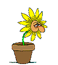 plante-image-animee-0105