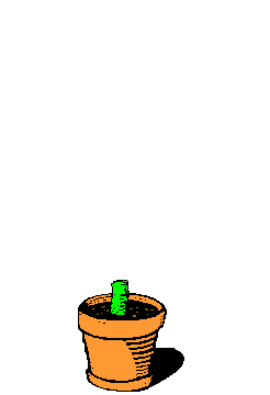 plante-image-animee-0121