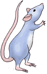 rat-image-animee-0035