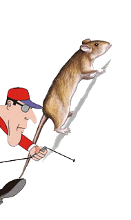 rat-image-animee-0036