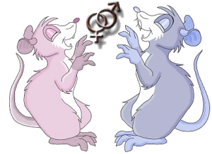 rat-image-animee-0092