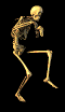squelette-image-animee-0053