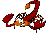 scorpion-image-animee-0013