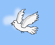 pigeon-image-animee-0031