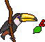toucan-image-animee-0003