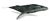 baleine-image-animee-0001