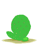 cactus-image-animee-0016