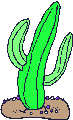 cactus-image-animee-0020