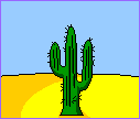 cactus-image-animee-0026